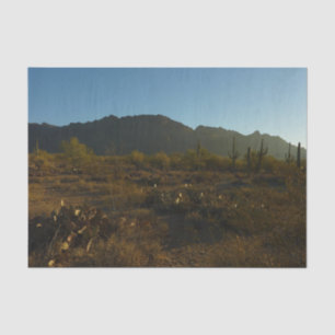 Papel De Seda Saguaro Sunrise no Parque Nacional de Saguaro