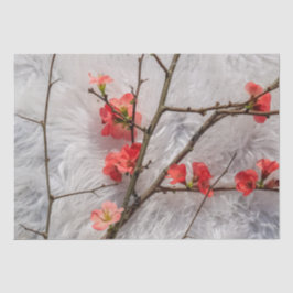 Papel De Seda Sakura