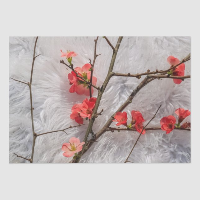 Papel De Seda Sakura (Frente )