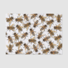 Salvar a abelha! Salvar o mundo! Vive o design