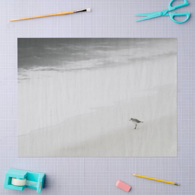 Papel De Seda Sandpiper costeiro na praia (Arte )