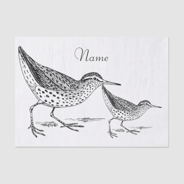 Papel De Seda Sandpiper Shorebird Thunder_Cove (Frente )