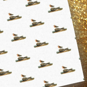 Papel De Seda Sandppers no Desenho de Praia - Ilustração de Vint