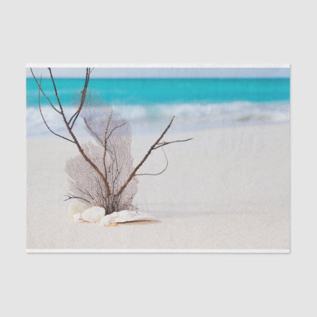 Papel De Seda Sandy Beach com White Seashells (Frente )