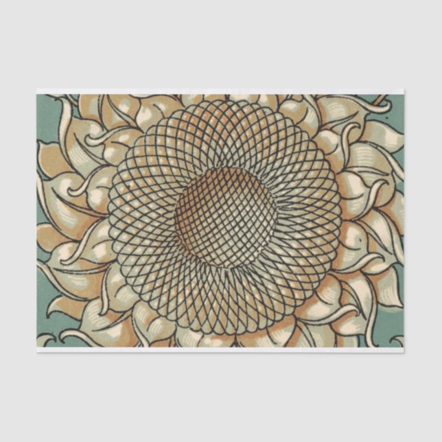 Papel De Seda Sangue de girassol em fundo azul-esverdeado (Frente )