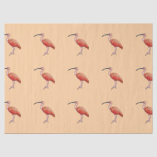 Papel De Seda Scarlet Ibis Bird Happy Birday