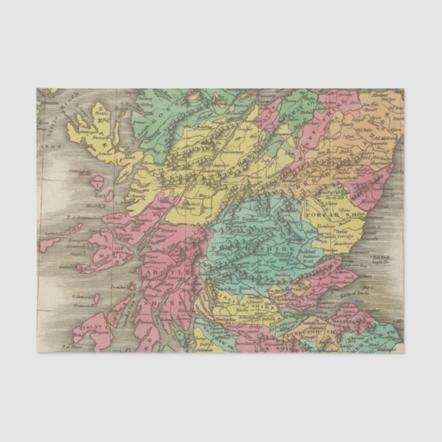 Papel De Seda Scotland 18 (Frente )