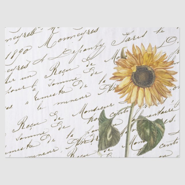 Papel De Seda Script francês Vintage Amarelo Sunflower (Frente )