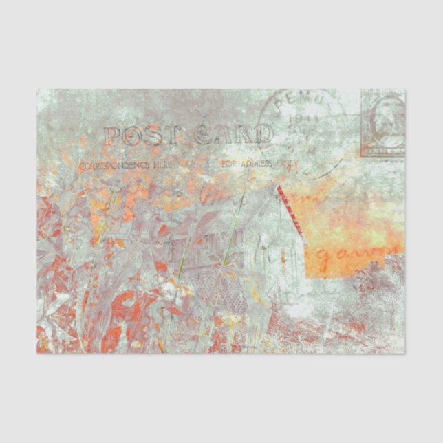 Papel De Seda Script Rústico Country Antigo Outono Distressed (Frente )