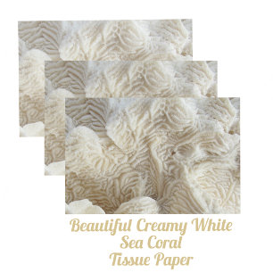 Papel De Seda Sea Coral Belo Creamy White Fotografia