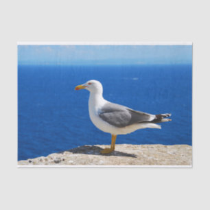 Papel De Seda Seagull na praia