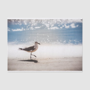Papel De Seda Seagull Walking na Virgínia Beach