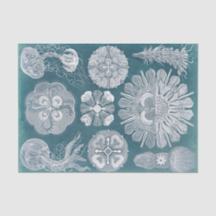 Papel De Seda Sealife Blueprint IV