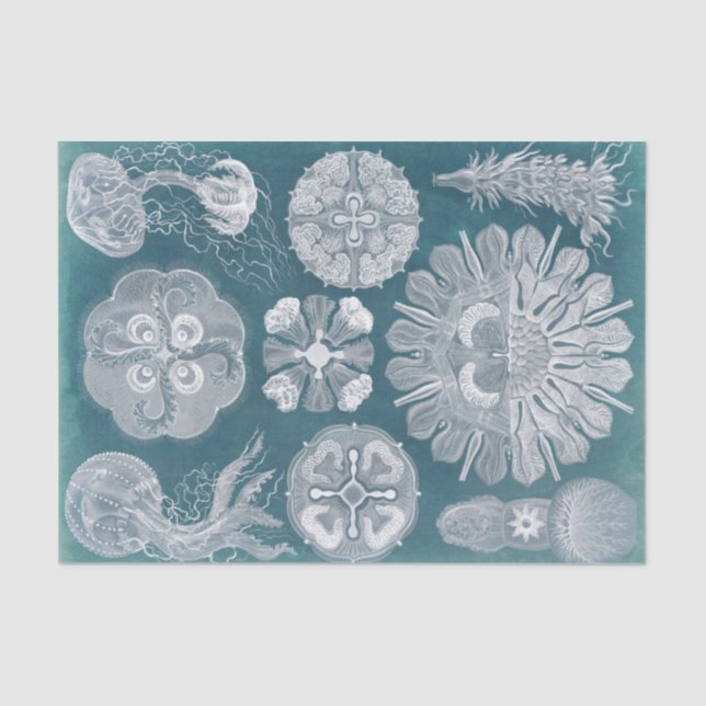 Papel De Seda Sealife Blueprint IV (Frente )