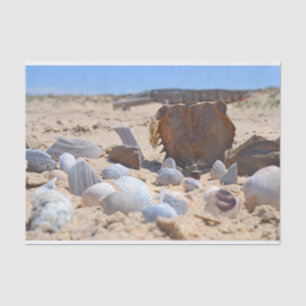Papel De Seda Seashells on the Beach por Shirley Taylor