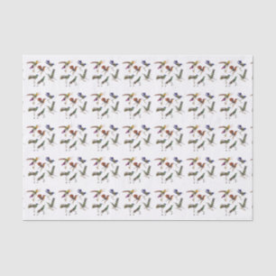 Papel De Seda Seis colibris bonitos