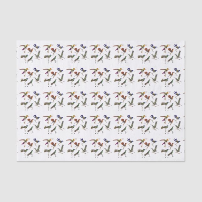 Papel De Seda Seis colibris bonitos (Frente )