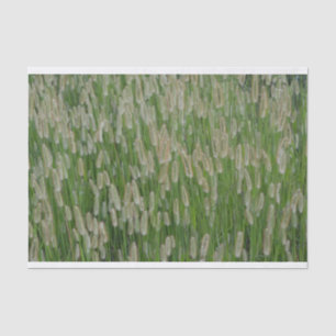 Papel De Seda Sementes De Grãos Verdes Altas