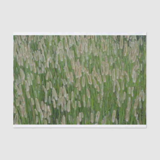 Papel De Seda Sementes De Grãos Verdes Altas (Frente )