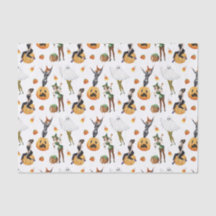 Senhoras da Bruxa de Na moda de Fashion do Hallowe