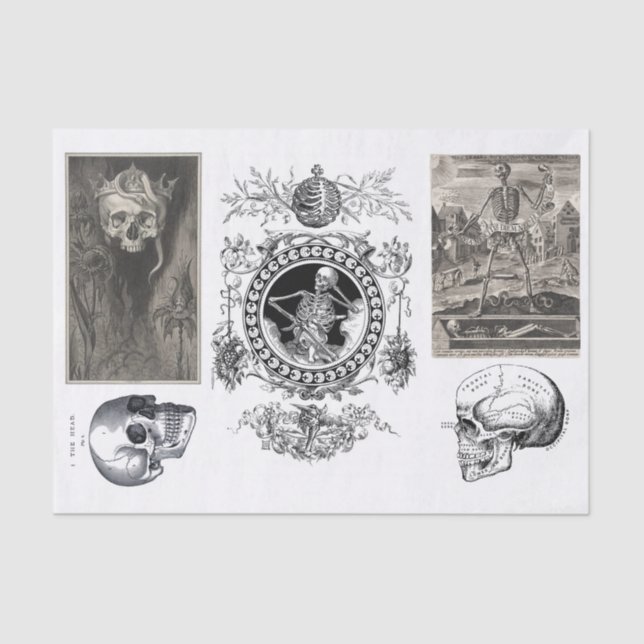 Papel De Seda Separação da coleção de Halloween (Frente )