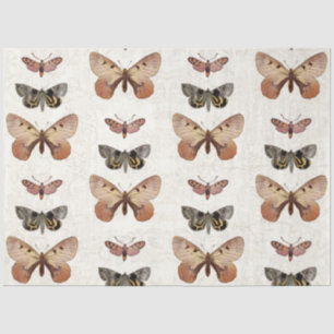 Papel De Seda Separação da Vintagem de Cottagecore da Borboleta
