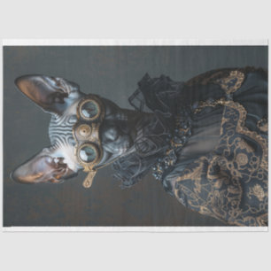 Papel De Seda Separação de Gatos Esfingx Preto Steampunk