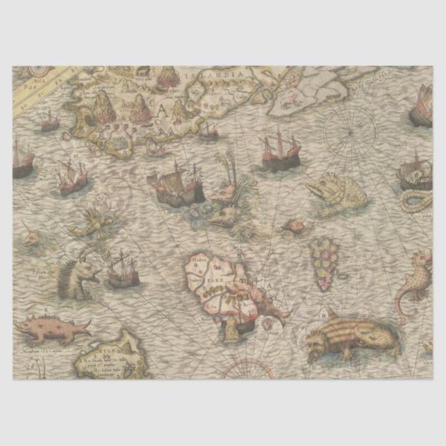 Papel De Seda Separação de Mapa Antiquado e Criações do Mar (Frente )