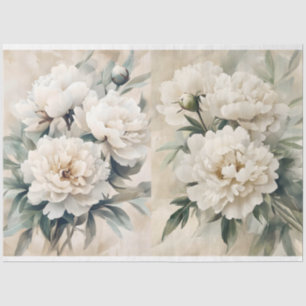 Papel De Seda Separação de Peões Brancos