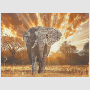 Papel De Seda Separação de Sunset de Elefante Captivante
