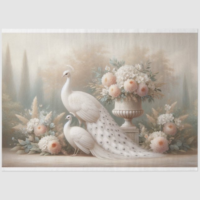 Papel De Seda Separação Floral de Peacock Branco (Frente )