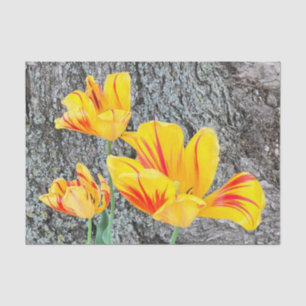 Papel De Seda Sequência de três tulipas amarelas /