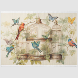 Papel De Seda Serene Melodies: Nuvem de Birdcage