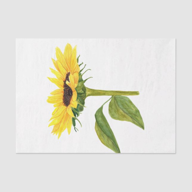 Papel De Seda Série Ação de Graças de Aquarela Design 8 (Frente )