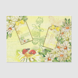 Papel De Seda Série Daisy Design 7