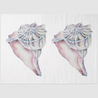 Papel De Seda Série de Conchas de Aquarela Subaquática Design 14