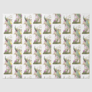 Papel De Seda Série de Design Pavão 5