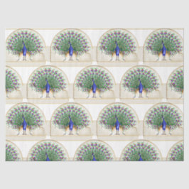 Papel De Seda Série de Design Pavão 8