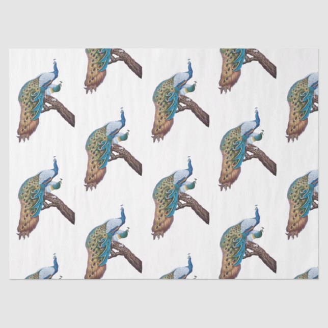 Papel De Seda Série de Design Pavão 9 (Frente )