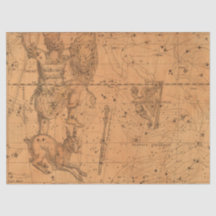 Série de Mapas da Galáxia Antiga Design 10