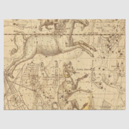 Papel De Seda Série de Mapas da Galáxia Antiga Design 2