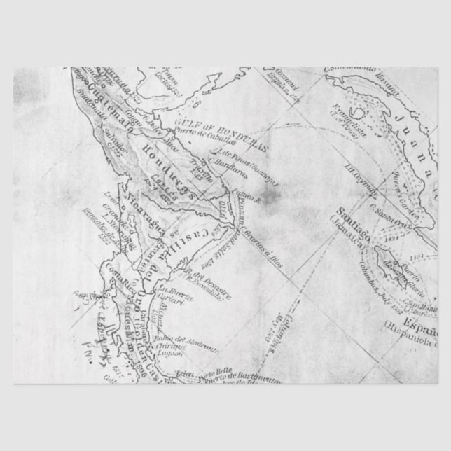 Papel De Seda Série de Mapas Digitais Preto e Branco Design 14 (Frente )
