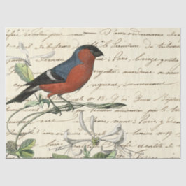 Papel De Seda Série de Pássaros Efêmeros Design Um