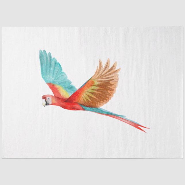 Papel De Seda Série de Pássaros Tropicais: Arara-Vermelha (Frente )