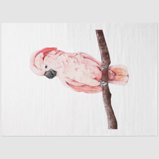 Papel De Seda Série de Pássaros Tropicais: Cacatua (Frente )