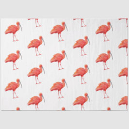 Papel De Seda Série de Pássaros Tropicais: Design de Íbis Escarl