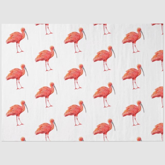 Papel De Seda Série de Pássaros Tropicais: Design de Íbis Escarl (Frente )