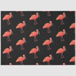 Papel De Seda Série de Pássaros Tropicais: Design do Íbis-Esfcar