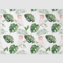 Série de Pássaros Tropicais: Design do Major Mitch