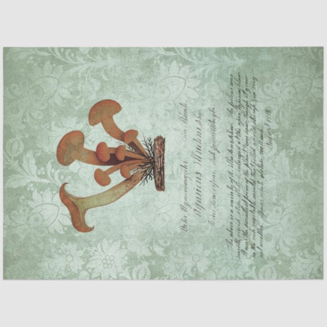 Papel De Seda Série Design de Ephemera Mushroom #2 (Frente )